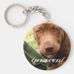Innocent Bully Pup Key Chains