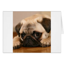 " Innocent " Pug Greeting Card
