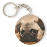 " Innocent " Pug Key Chains