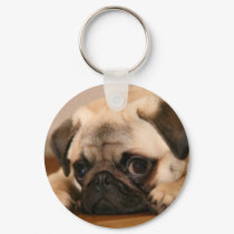 " Innocent " Pug keychains