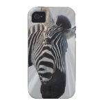 Inquisitive Case-Mate Case casemate cases
