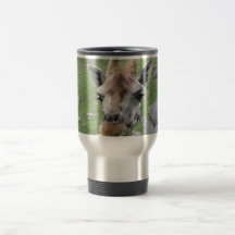 Inquisitive Giraffe Mug
