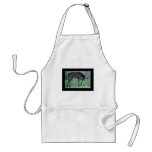 Inquisitive little foal aprons