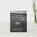 Inquisitive Sheep birthday card card