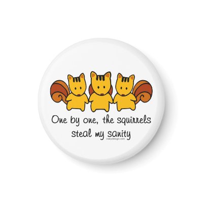Insanity Squirrels Refrigerator Magnets by ironydesign