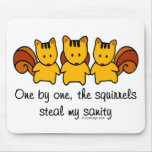 Insanity Squirrels Mouse Pad