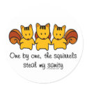 Insanity Squirrels stickers
