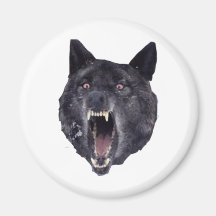 Insanity wolf fridge magnets