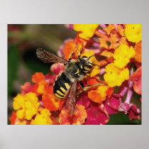 Insect Autumn Print