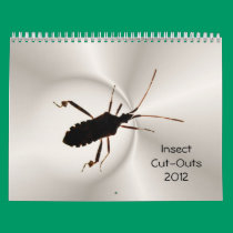Insect Cut-Outs 2012 ~ calendar calendars