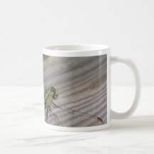 Insect Dragonfly Mugs