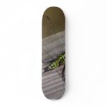 Insect Dragonfly Skateboard Deck