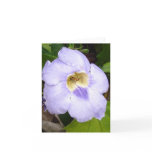 Insect in Residence floral card
