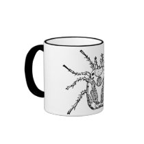 Insect mugs by engravings Insect mugs