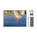 Insect on dewy cartop postage by elekmuff Insect on dewy cartop postage