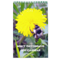 Insect Photographs, 2010 Calendar
