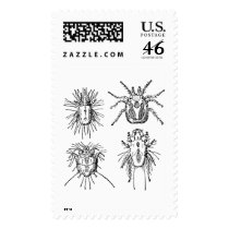 Insect postage