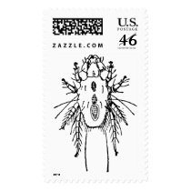 Insect postage