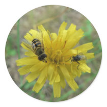 Insect Wasp stickers