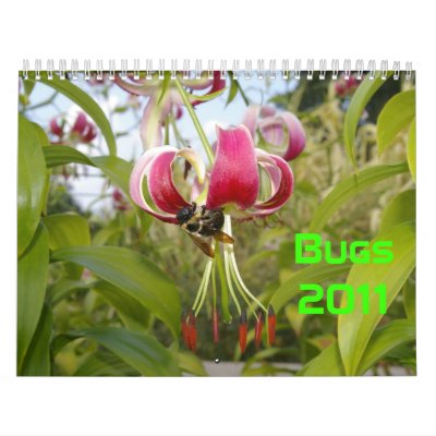 Insectos 2011 calendario de pared Insectos 2011 calendario de pared