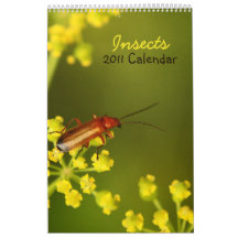 Insects 2011 Calendar