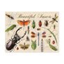 Insects - earth's most diverse organisms post cards
