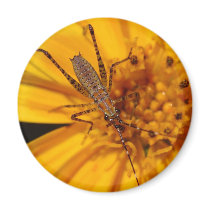 Insects On Big Orange Flower Macro magnets