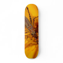 Insects On Big Orange Flower Macro skateboards by lifesphere Insects On Big Orange Flower Macro skateboards