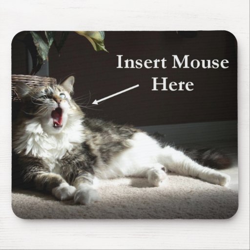 Insert Mouse Here Mousepad Zazzle