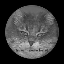 Insert mouse here! magnets
