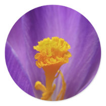 Inside a Crocus stickers