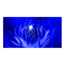 Inside-A-Flower Blue posters by hlehnerer Inside-A-Flower Blue posters