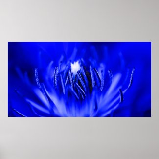Inside-A-Flower Blue Posters