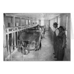 Inside a Milk Barn Card