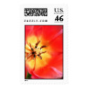 Inside a Tulip postage