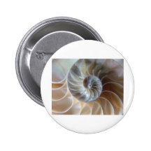 Inside Nautilus Buttons