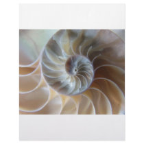 Inside Nautilus letterhead by Debrene Inside Nautilus letterhead