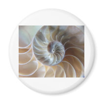 Inside Nautilus Fridge Magnet