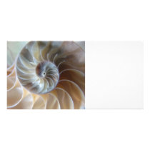 Inside Nautilus photo cards