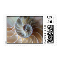 Inside Nautilus Stamp