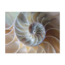 Inside Nautilus Postcard