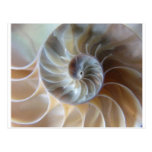Inside Nautilus Postcards