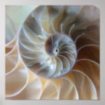 Inside Nautilus Poster