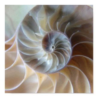 Inside Nautilus Poster