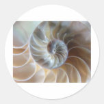 Inside Nautilus Round Sticker
