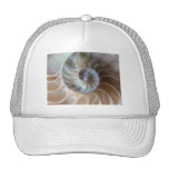 Inside Nautilus Trucker Hat