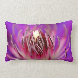 Inside of a flower pillows