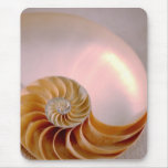 Inside of Nautilus Mouse Pad