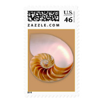Inside of Nautilus postage by roimim Inside of Nautilus postage