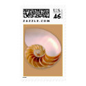 Inside of Nautilus postage